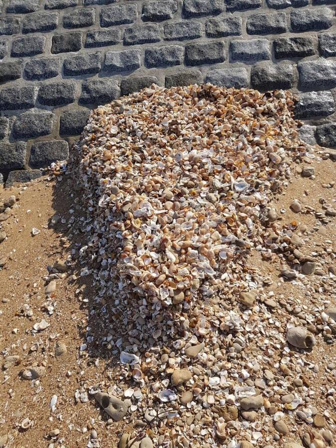 Appartement Re 2 Personnes Châtelaillon-Plage Exteriör bild